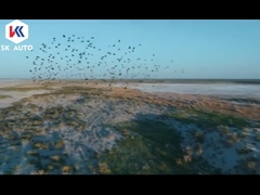 Berlines électriques