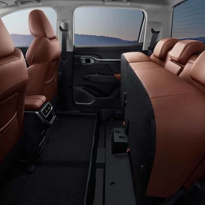 radar 2023 de Geely de campeur de camion pick-up de 632Km EV Rd6 pour la famille d'affaires