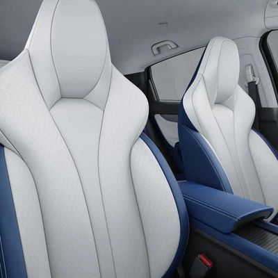 Grande vitesse de luxe automatique futée de voitures électriques de nouveaux SUV Xpeng G3i New Energy véhicules des véhicules à moteur d'EVisok