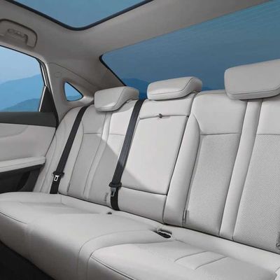 Dans AION courant S plus la version futée 410/510km de collier de l'automobile EV 4 seater de la porte 5