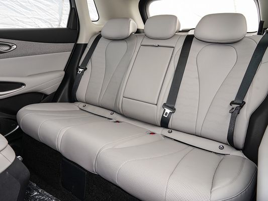 Affichage à écran tactile Caractéristiques intérieures 2025 Modèle BYD EV Voiture avec toit solaire et énergie de batterie 60,9 kWh Chargement rapide Véhicule électrique Vente à chaud